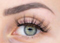 maglashes beauty wimpernverla engerung 01 - FACES.ch