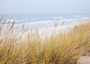 Traumhafter Ostsee-Urlaub – die besten Tipps