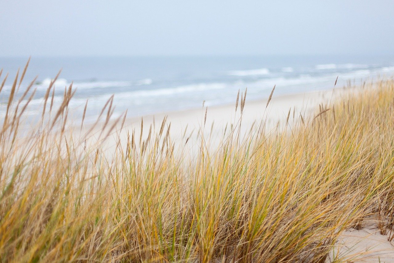 traumhafter ostsee urlaub - FACES.ch