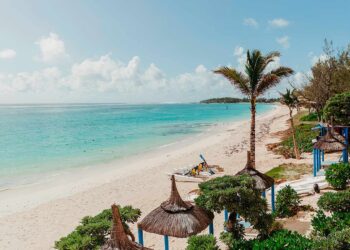 Weißes Gold – SALT of Palmar Mauritius