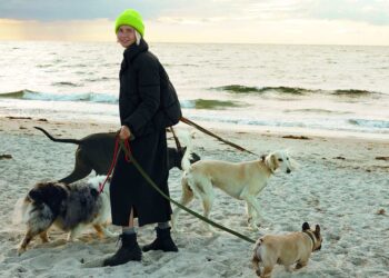 Now or never: die richtige Jacke von C&A