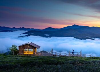 Wie baue ich ein Tiny House?