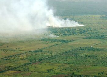 Die dunkle Seite der Palmölindustrie: Brennende Wälder in Indonesien