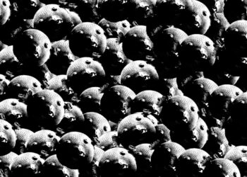 Dating Storys: Folge 1