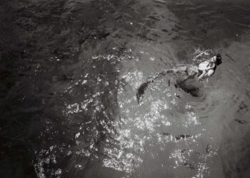 Ode to the Muse – A Love Letter by Alex Lambrechts