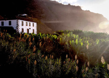 BeTenerife ist unser liebstes Boutique-Domizil in Teneriffa