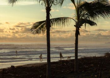 Offshore Pearl: Musa