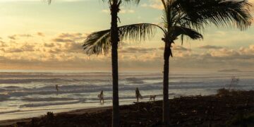 Offshore Pearl: Musa