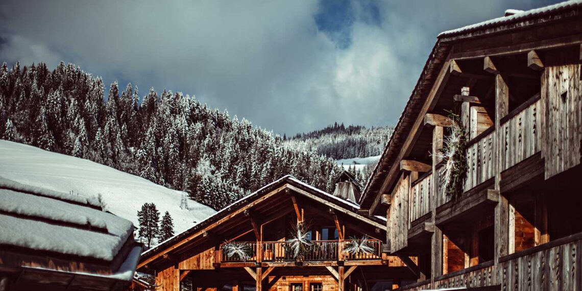 Mountain Bliss: L’Alpaga