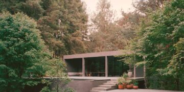 Green Alignment: Im Einklang mit der Natur in Mexiko