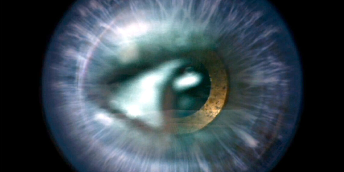 Unsere Vorschau auf die photoSCHWEIZ 2025