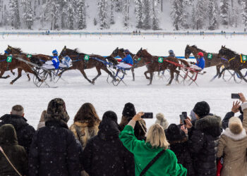 Horsepower: White Turf x Genesis, St. Moritz