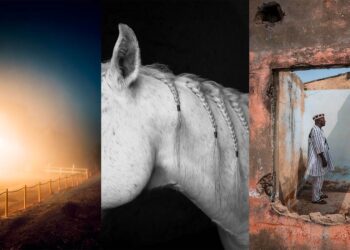 Frauen in der Fotografie