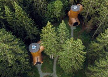 Leben in Baumkronen: Modern Tree Houses