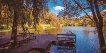 Soul of Wien-Autoren im Interview